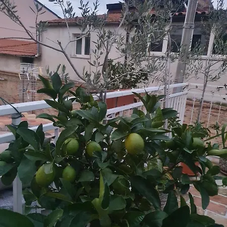 Lejlighed La Dimora Del Cont'orto Giulianova