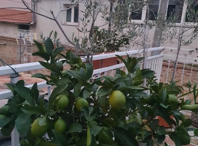 Апартаменты La Dimora Del Cont'orto Джулианова