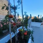 La Dimora Del Cont'orto Giulianova
