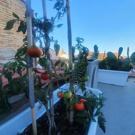 La Dimora Del Cont'orto Giulianova