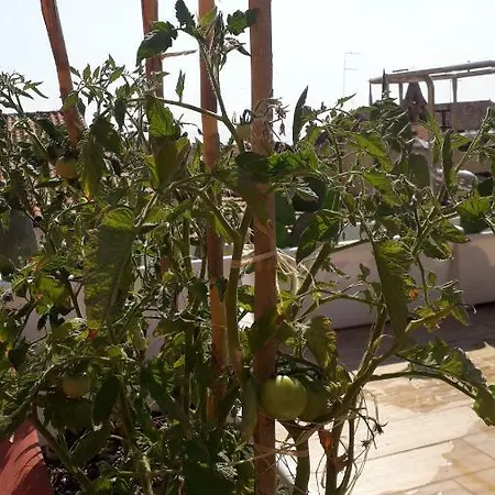 La Dimora Del Cont'orto *