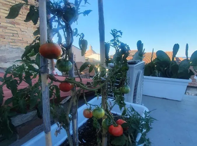 La Dimora Del Cont'orto Giulianova