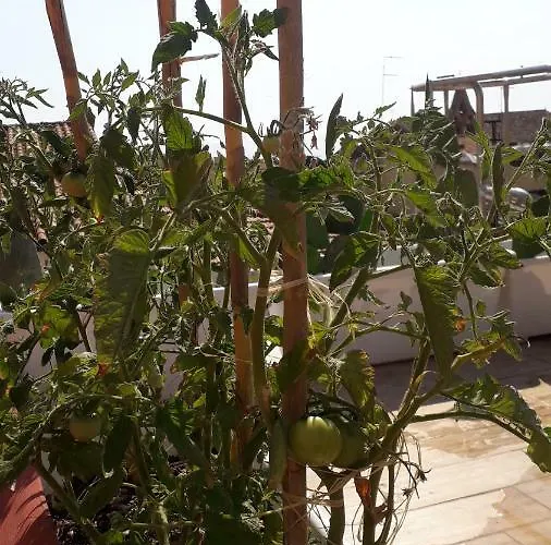 La Dimora Del Cont'orto *